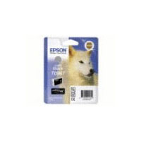 Epson Singlepack Light Black T096740 (C13T09674020)